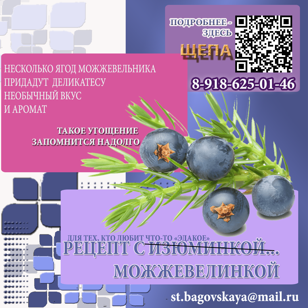 ЩЕПА + МОЖЖЕВЕЛЬНИК